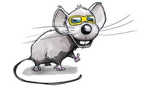 Große graue Maus mit Link auf SIS Schüler